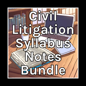 Civil Litigation Syllabus Notes Bundle